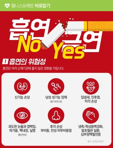 [웰니스&예방] 흡연 NO 금연 YES