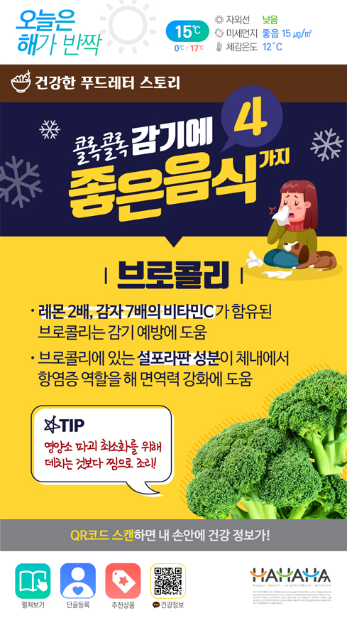 미디어보드2